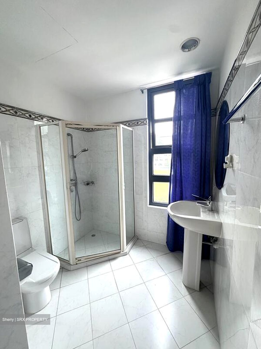 Haig Court (D15), Condominium #507116781